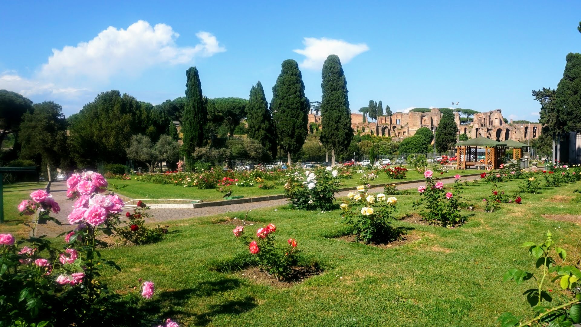 The Rose Garden | Turismo Roma